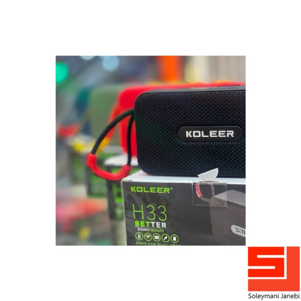 koleer-h33-speaker-3